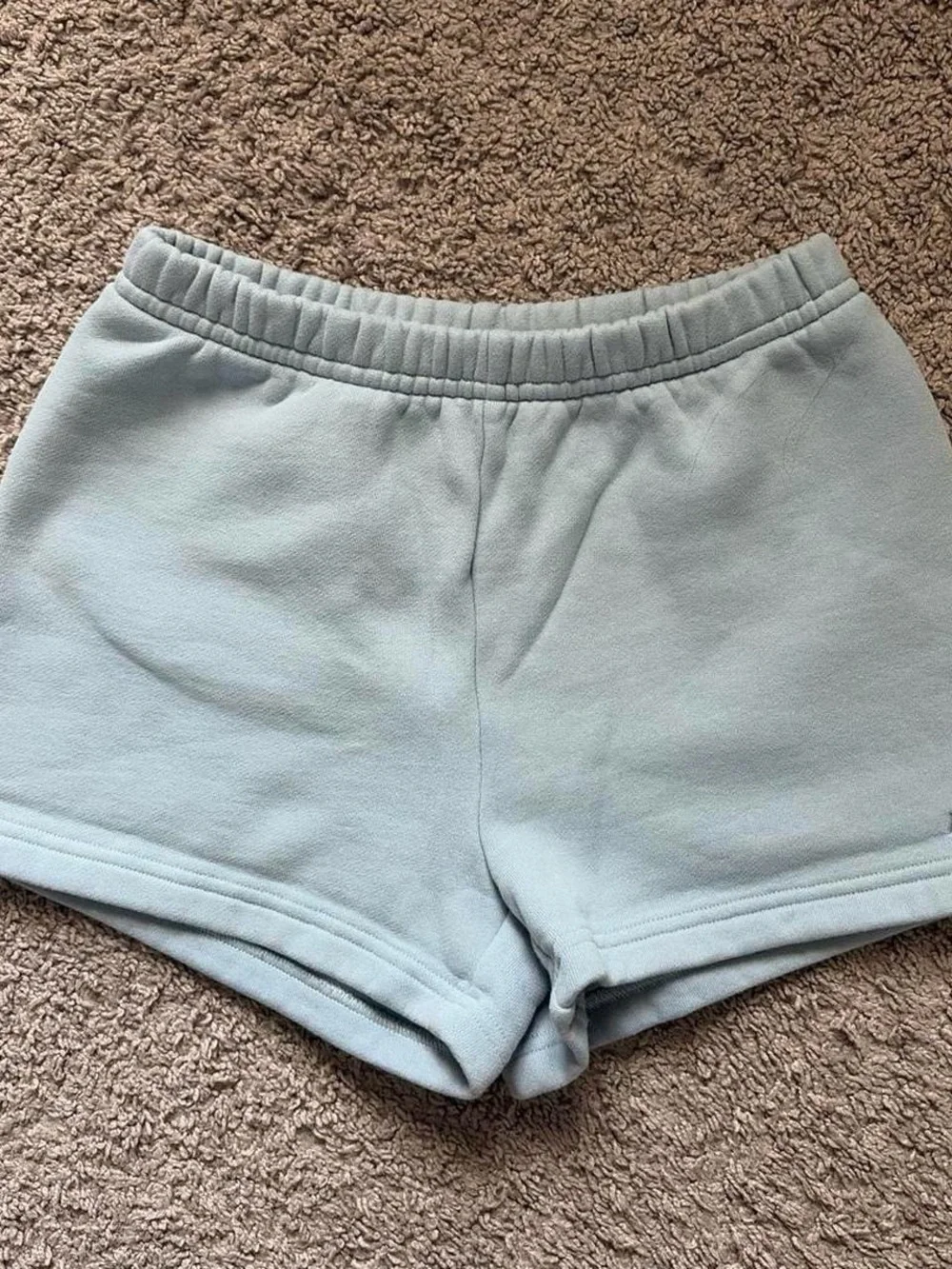 Aritzia light blue sweatshorts